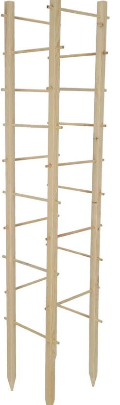 Support en bois de pin pour plantes 4 piquets (Tour)