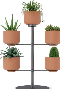 Support à plantes avec 5 pots Terrapotta