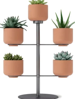 Support à plantes avec 5 pots Terrapotta
