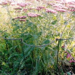 Support à plantes courbé en acier (Lot de 6)