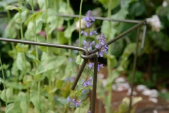 Support à plantes en acier (Lot de 6) (60 cm)