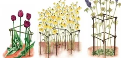 Support à plantes en acier (Lot de 6) (60 cm)