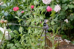 Support à plantes en acier (Lot de 6) (60 cm)