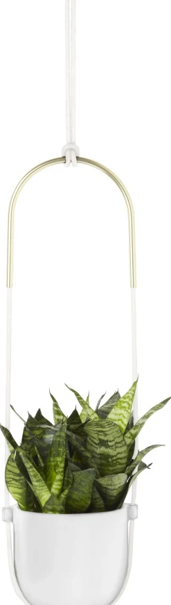 Support à plantes en céramique Bolo (Blanc)