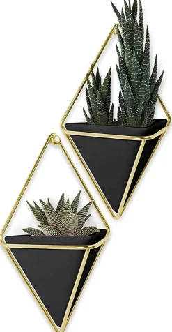 Support à plantes mural Trigg (Lot de 2)