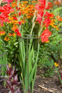 Support à plantes rond en acier 20 cm (Lot de 3)