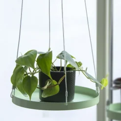 Support à plantes rond à suspendre vert (Diamètre de 24 cm)