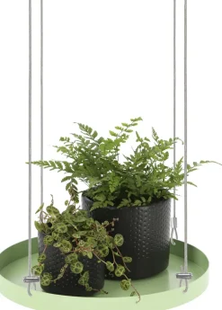 Support à plantes rond à suspendre vert (Diamètre de 24 cm)