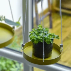 Support à plantes rond à suspendre doré (Diamètre de 24 cm)