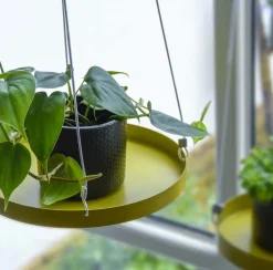 Support à plantes rond à suspendre doré (Diamètre de 24 cm)