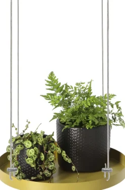 Support à plantes rond à suspendre doré (Diamètre de 24 cm)