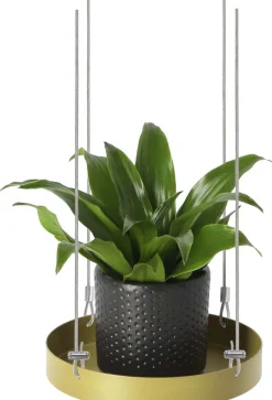Support à plantes rond à suspendre doré (Diamètre de 14 cm)