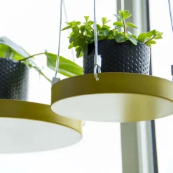 Support à plantes rond à suspendre doré (Diamètre de 14 cm)