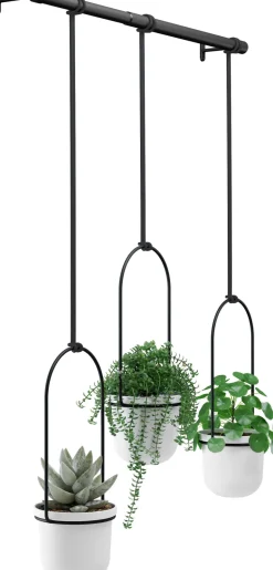 Support à plantes Triflora (Blanc et noir)