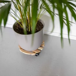 Support à roulettes en bois pour plantes d'intérieur (Rond - Naturel)