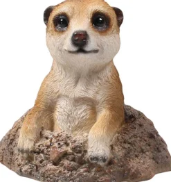 Suricate sortant de terre en résine