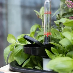 Système d'auto-arrosage pour potager