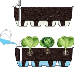 Système d'auto-arrosage pour potager
