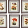 Tableaux décoratifs champignons 30 x 40 cm (Lot de 6)