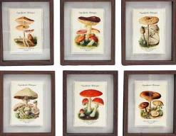 Tableaux décoratifs champignons 30 x 40 cm (Lot de 6)
