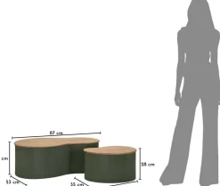 Table basse en bois d'hévéa Frankfurt (Set de 2) (Vert)