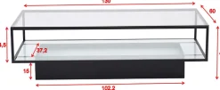 Table basse en verre et acier Maglehem