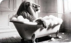 Tapis de bain en polyester Animal 45 x 75 cm (Lion)
