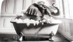 Tapis de bain en polyester Animal 45 x 75 cm (Eléphant)