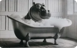 Tapis de bain en polyester Animal 45 x 75 cm (Hippo)