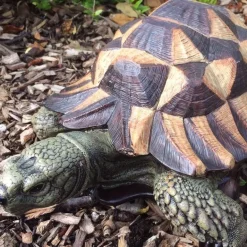 Tortue en résine 32 cm