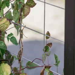 Treillis pour carré potager Gardenbox