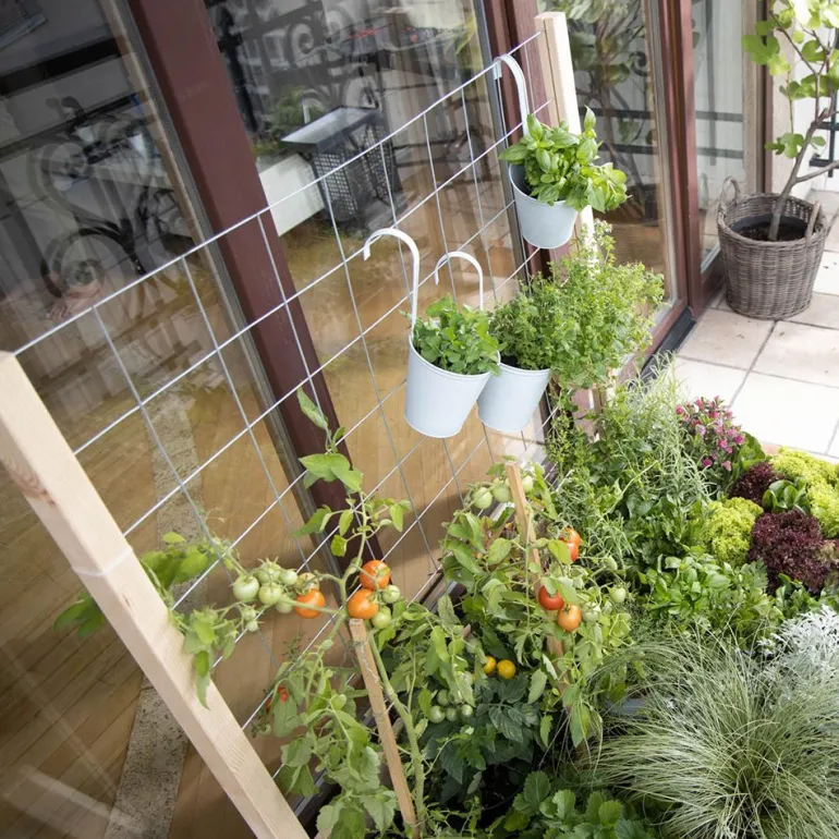 Treillis pour carré potager Gardenbox