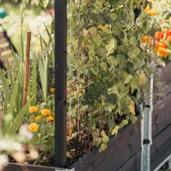 Treillis pour carré potager Gardenbox