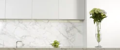 Vase design Loop