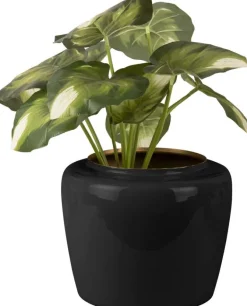 Vase en métal Plant 20 x 25 cm (Noir)